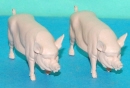 m12 77 BRITAINS COCHONS